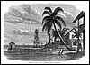 lighthouseaspinwall1865.jpg